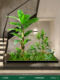 Artificial Green Plant Landscaping for Corner Windows, Indoor Spaces under Stairs, Potted Plants, Fake Trees, Plant Landscape Scenes, Decorative Trees