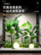 Simulated Green Plants, Large-Scale Indoor Landscaping, Outdoor Landscape Combinations, High-End Light Luxury Window Decoration, Floor-Standing Green Plant Landscaping