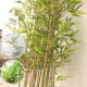 New Chinese-Style Simulated Bamboo Landscaping Decoration, Indoor Soft Furnishings, Green Plant Partition Screen, Dense Fake Bamboo with Zen Aesthetics
