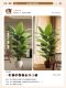 Traveler's Palm Artificial Green Plant Indoor Potted Large Artificial Flower Faux Tree Light Luxury Living Room Bird of Paradise Floor-Standing Ornament