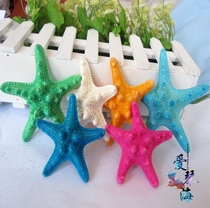 Full 28 natural conch shell color overlord starfish 5-6cm starfish color random