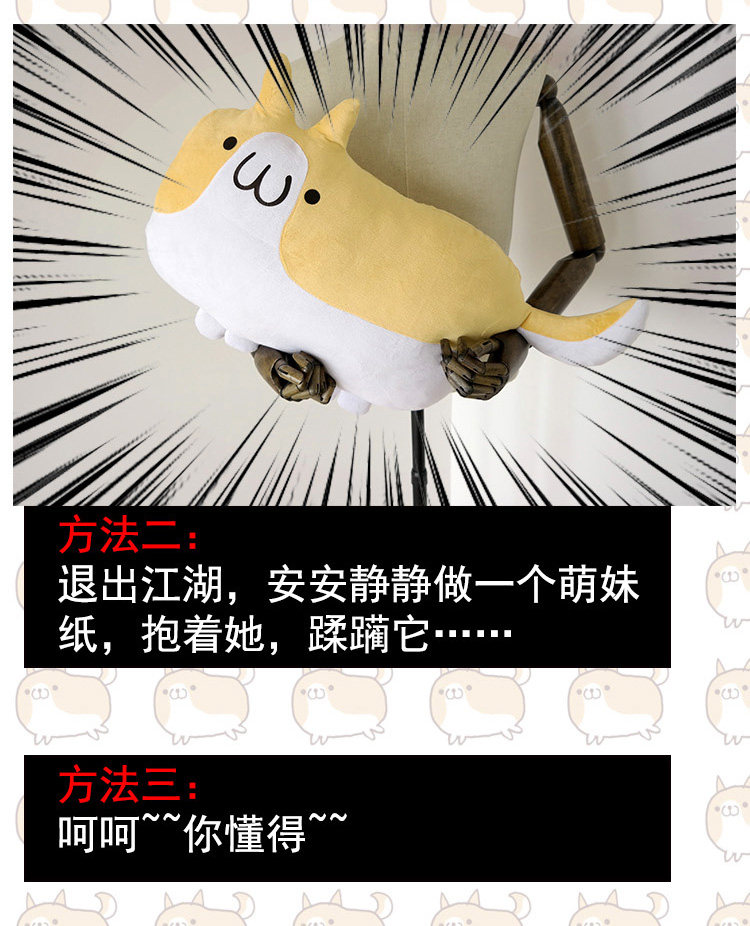 Peluche manga LOLISHE en peluche - Ref 2694838 Image 13