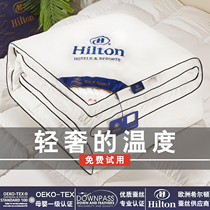 Outlet Hilton Hotel quilted silk quilt 100 mulberry silk spring autumn quilted by winter quilted with thickened warm summer quilt