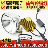 Đèn Xenon săn 55 watt 100w chiếu sáng ngoài trời Đèn pin Xenon chói lóa tìm kiếm đèn pha bắn cá đêm dài đèn pin acebeam