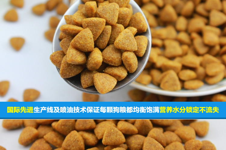 Tiannuo 5kg10 chó con cỡ lớn và trung bình thức ăn cho chó trưởng thành thức ăn cho chó jinmaotaidi samo - Gói Singular cat food