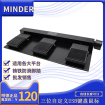 Mingde with wire USB custom pedal MDFS-303 machine tool hydraulic three position waterproof medical foot switch
