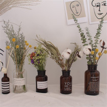 ins Nordic style glass vase Nordic creative fresh simple vase Brown vase retro decoration shooting