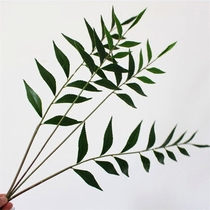 Simulation turtle back leaf wind shadow leaf Spring rain leaf simulation green plant flower arrangement flower material Plastic PU texture simulation leaf