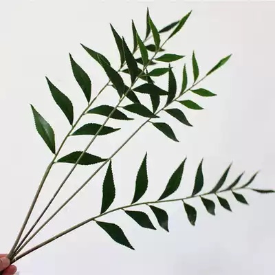 Simulation turtle back leaf Wind shadow leaf Spring rain leaf simulation green plant flower arrangement flower material Plastic PU texture simulation leaf