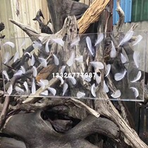 3form ecological resin feather board high-end hotel bar background wall screen partition plexiglass art board