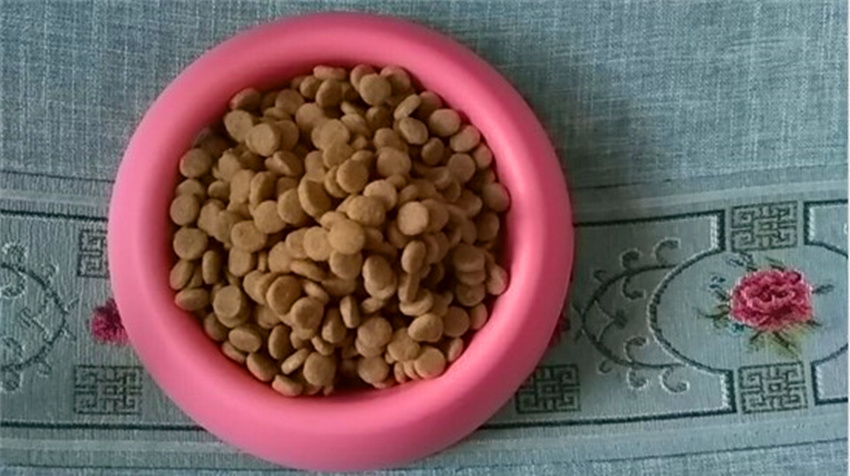 Xác thực chính hãng Pháp Hoàng gia GI25 theo toa chó thức ăn cho chó viêm dạ dày ruột bệnh thực phẩm theo toa 2kg - Chó Staples hạt ganador
