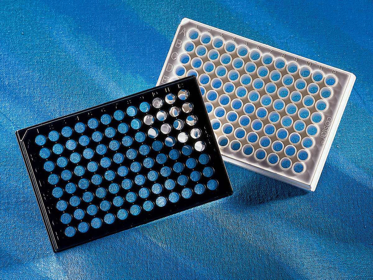 Corning 3610康宁白色96孔酶标板 透明底 带盖灭菌 无菌独立包装