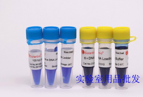 6&times;DNA Loading Buffer DNA上样缓冲液 科研试剂 C北京索莱宝