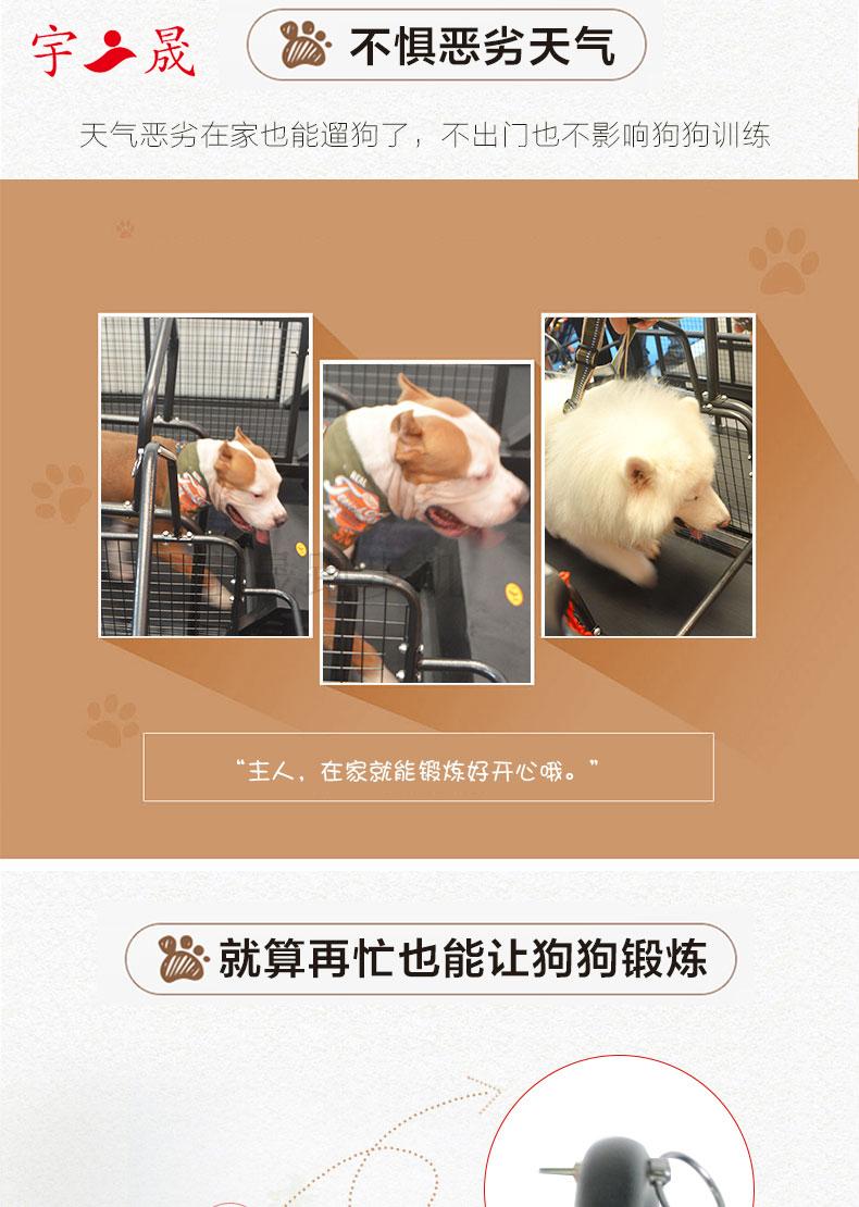Nhà máy JIANBU trực tiếp thú cưng chạy loại di động chó chó máy chạy bộ gấp vật nuôi C300 - Máy chạy bộ / thiết bị tập luyện lớn máy chạy elip