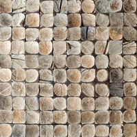 Основная цветная кокосовая внутренняя оболочка