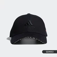 GD4953 Главная карта