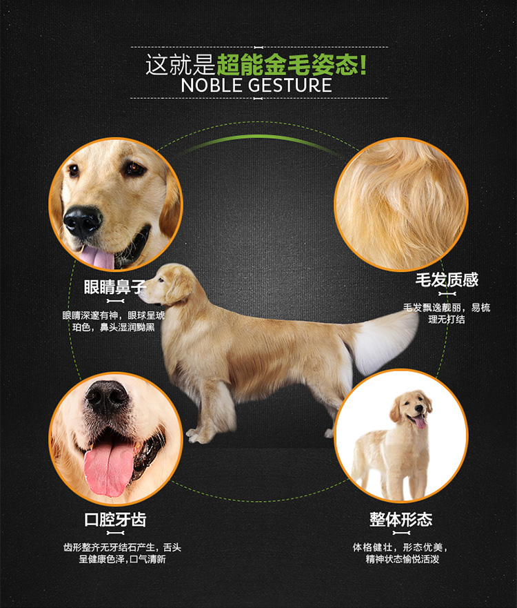 [Mua một tặng một] Nike thức ăn dành cho chó toàn thời gian Golden Retriever thức ăn cho chó đặc biệt 1kg2 kg thức ăn cho chó lớn - Chó Staples thức an cho chó bao 20kg giá rẻ