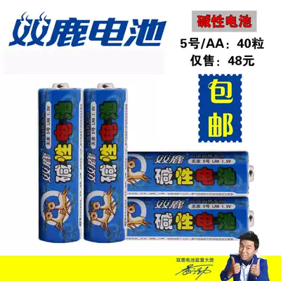 Shuanglu battery alkaline battery smart lock fingerprint lock safe for LR6 5 AA 40 grain price