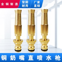 Pure copper booster spray gun nipple straight water spray gun household multi-function watering nozzle car wash artifact high voltage plug-in