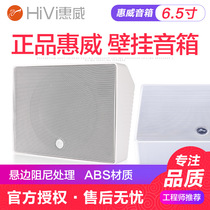  Hivi Huiwei TW-108 Wall-mounted audio Campus radio shop background music Wall-mounted speaker Wall-mounted speaker