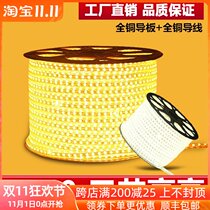 Hot sale super bright LED light with outdoor monochrome white light yellow light living room ceiling 5050 light strip waterproof 220V