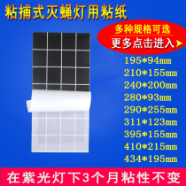 10 pieces of sticky fly paper sticky mosquito repellent fly lamp with black sticky insect board Food Factory Restaurant Restaurant