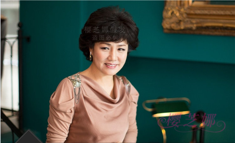 Perruque OTHER   cheveux courts - Ref 2610258 Image 20