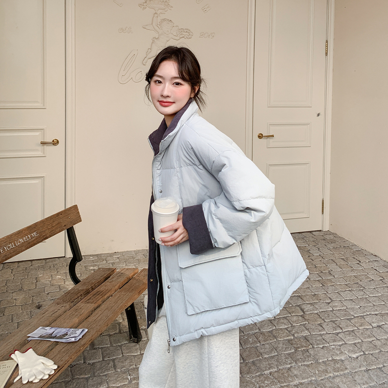 Gorgeous Light Blue Stand-Collar down Jacket for Women, Winter 2026 New Korean Fashion Casual Warm White Duck down Coat Gorgeous Light Blue Stand-Collar down Jacket for Women, Winter 2026 New Korean Fashion Casual Warm White Duck down Coat