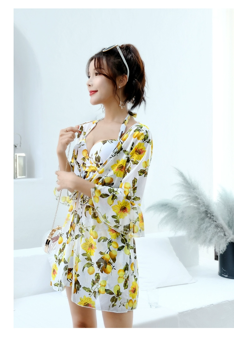 Bộ đồ bơi nữ 2018 mới hot mùa xuân váy xẻ ba mảnh Hàn Quốc nhỏ bikini bikini nữ