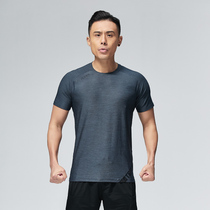 Fitness clothing short sleeve mens vest quick clothes sports running T-shirt tight basketball training long sleeve Ice Silk clothes