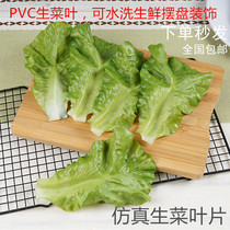 Simulation Raw Vegetable Leaf Anise Lotus Leaf Water Fruit Shop Fresh Hotel Restaurant Restaurant Drinking Food Pendulum disc Decorative Spacer