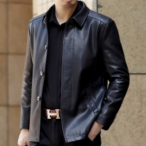 Autumn and winter Haining leather mens middle-aged head cowhide lapel down jacket middle-aged and old size thin leather jacket