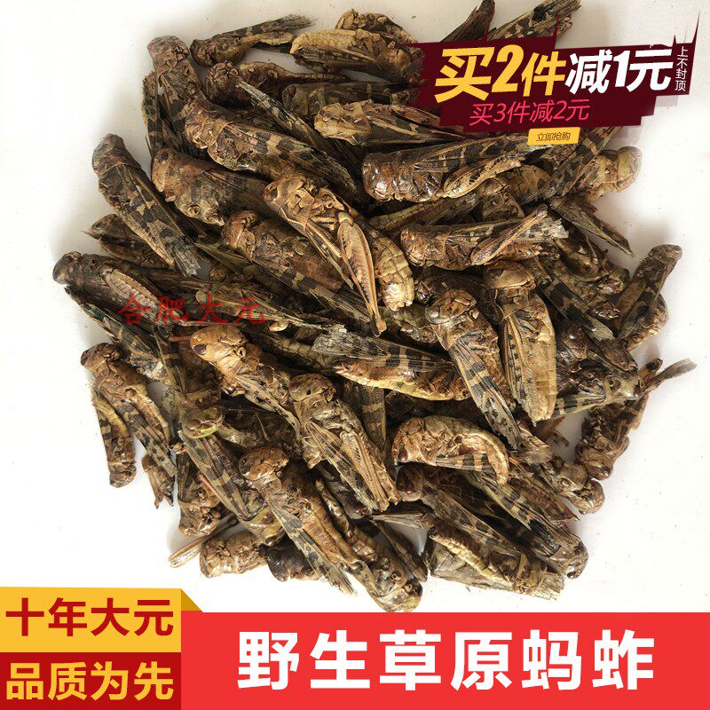 Grasshopper Locusts Grasshopper Dry Grasshopper Dry Painting Brow Birds Snacks Homemade Bird Food Raw Materials 500 gr