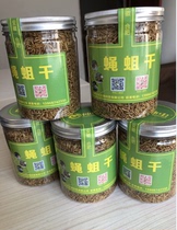 Puffed fly maggots dried grain insects dried maggots dried starling birds insect-eating dried special food Wren thrush bird feed