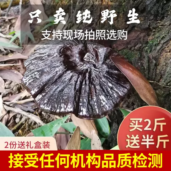 Товары от salakola