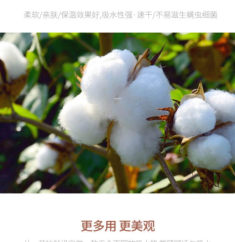 Phòng tắm thấm chống trượt mat chenille mat phòng tắm nhà vệ sinh phòng ngủ cửa thảm mat cửa phòng tắm mat - Thảm sàn thảm xốp trải sàn