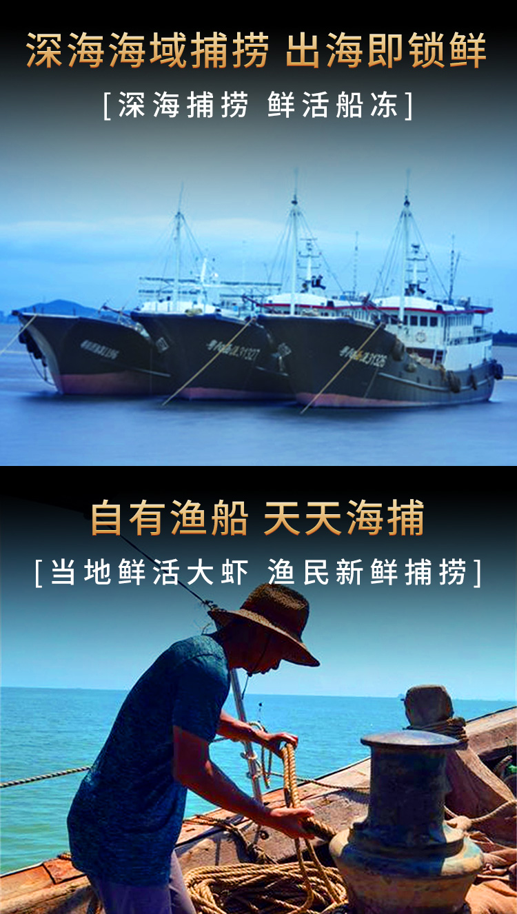 O1CN01tvC45g1Oyzn7mycNi_!!68001775.jpg