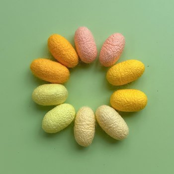 Natural Colored Silkworm Cocoons, Golden Cocoons, Pink Silkworm Cocoons, Orange Silkworm Cocoons, Green Silkworm Cocoons, Student DIY Crafts