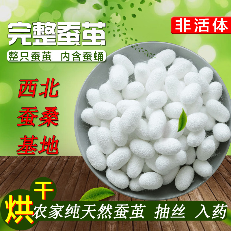 Natural Dried Complete Silkworm Cocoons with Pupae, Hand-Painted Silk Cocoon Shells, Silk Fan Made from Silk Cocoon