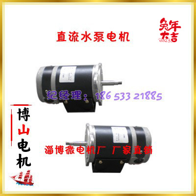 Direct current Water pump Boshan micro-electric motor plant manufacturer Direct sales power tool special DC motor 12v ~ 220v-Taobao