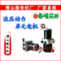 Hydraulic power unit motor DC motor micro motor Boshan micro motor AC Micro Motor