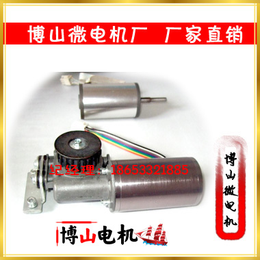 Automatic Motor Automatic Door Motor Door Opener Reducer Boshan Micro Motor DC AC Motor