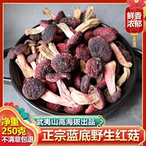 Fujian wild authentic red mushroom blue background red aunt dry goods 250g Wuyishan super red mushroom nutrition moon mushroom