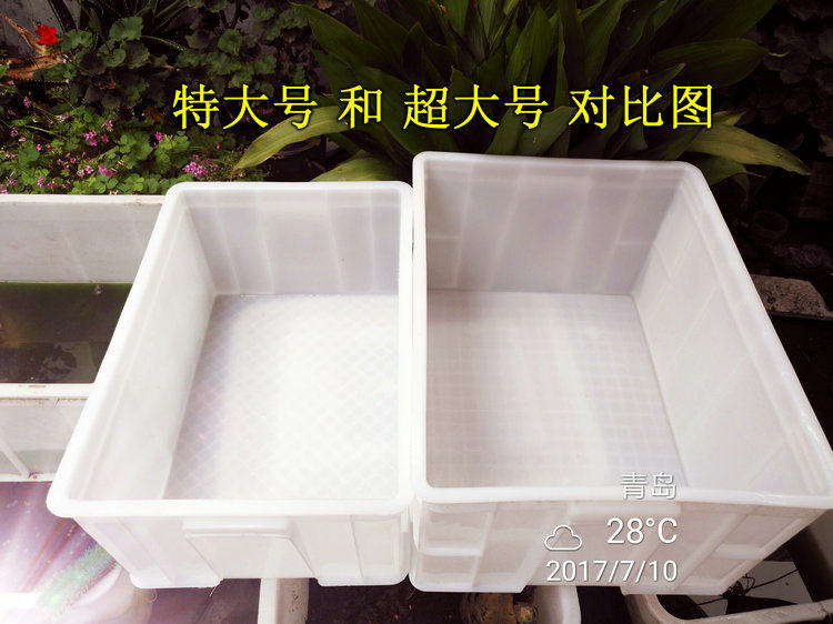 extra large plastic fish tank