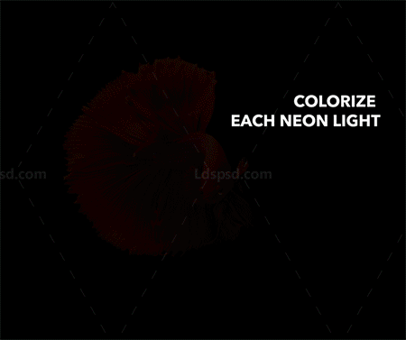 极品PS动作－霓虹灯光(GIF动画/含高清视频教程)：Gif Animated Neon Light Photoshop Action