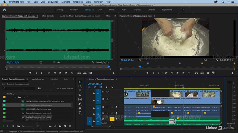 Premiere Pro 2020 Essential Training3.jpg