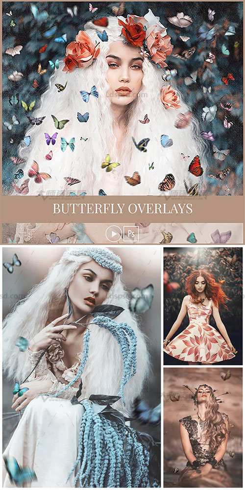 100多只多彩蝴蝶叠加特效视频教程(含素材)：Butterfly Overlays and Tutorial