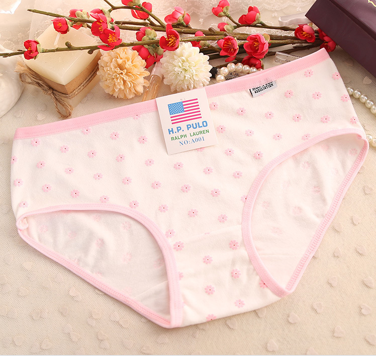 Slip jeunesse A001 Kogiku en coton - Ref 652518 Image 22
