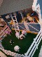 Pokémon Bada Butterfly, Charizard, Fire-breathing Dragon Kentero, Second Generation, Giant Trumpet Figure Ornament Toy