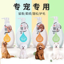 Dog Body Wash with Bath Dew Teddy Bibear Snownery Gold Hair Special Bath Deodorant Shampoo for Firewood Canine Dog Pet Supplies
